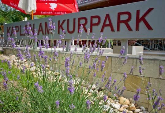 ホテル Kaplan Am Kurpark バート・タッツマンスドルフ エクステリア 写真